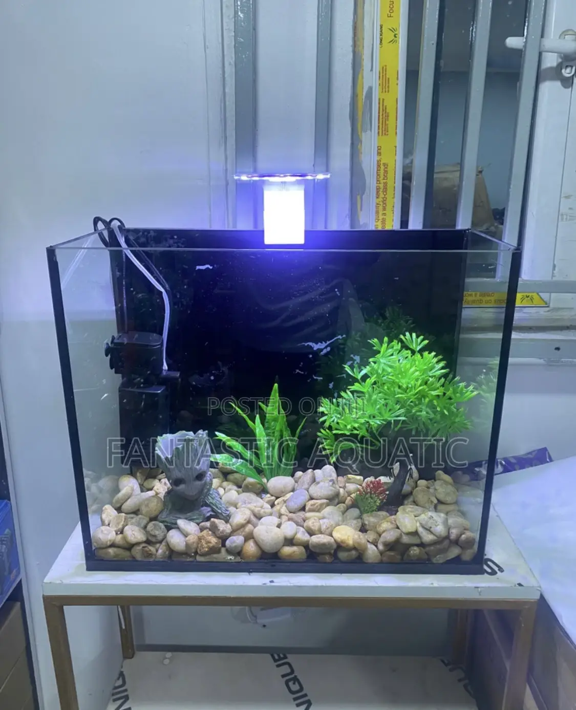 Table Top Aquarium