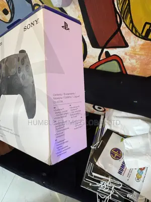 Sony Ps5 Pad