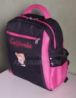 Lunch Bags and School Bags in Bulk/Wholesales