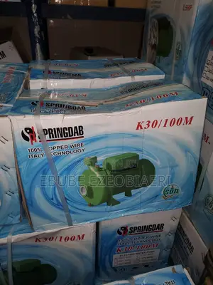 1.5 Hp Springdab Surface Water Pumping Machine