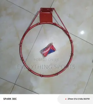 Basketball Rim and Net