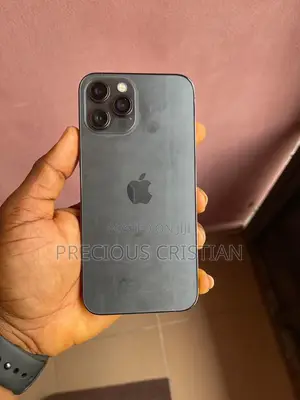 Apple iPhone 12 Pro Max 128 GB Gray