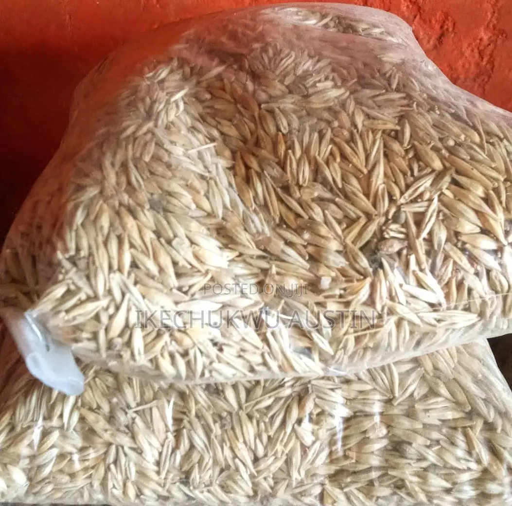 Barley Grains