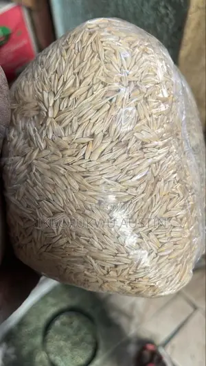 Barley Grains