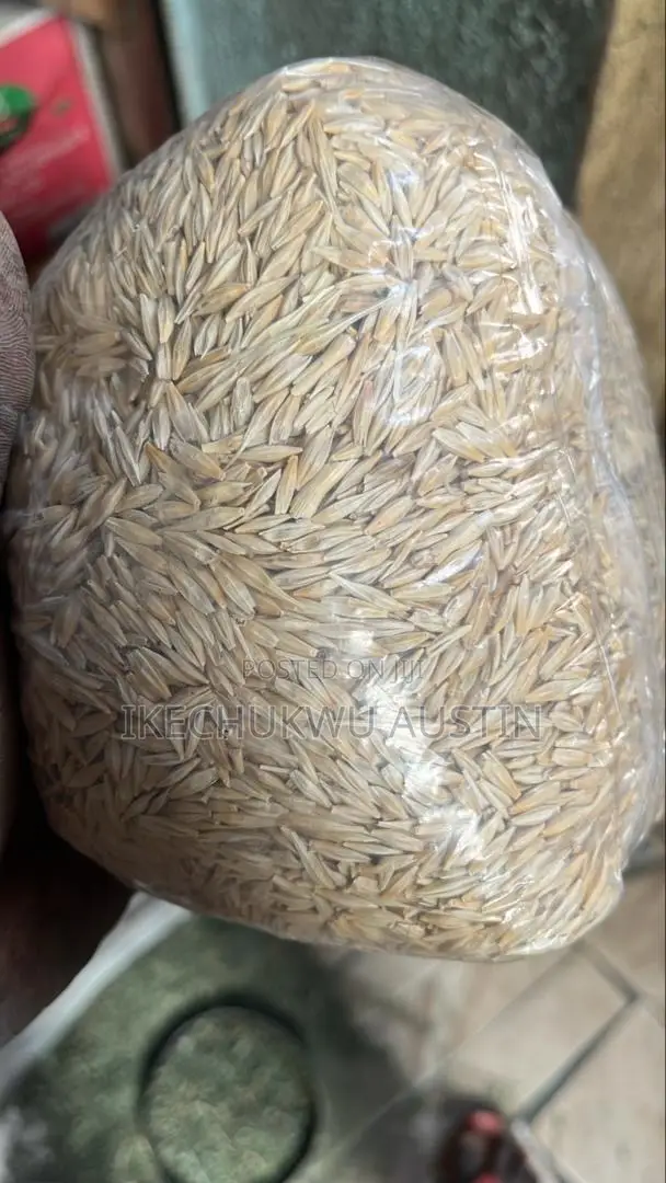 Barley Grains