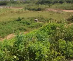 6.68 Hectares Mixed Use Land for Sale in Maitama 2