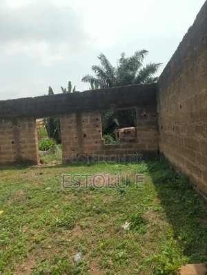 A Full Plot of Land