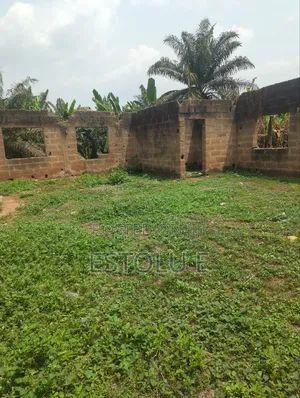 A Full Plot of Land