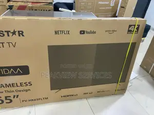 Polystar Pv-Hk65fltm Smart Tv 65” Dled Vidaa Light Frame Hdmi