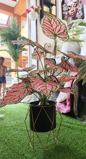 Flower Vase