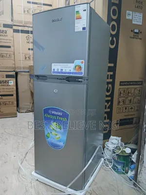 Snowsea Standing Fridge
