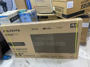 Polystar 65 Inch Vidaa Dled Tv Pv-Hk65fltm Home Display Hdmi