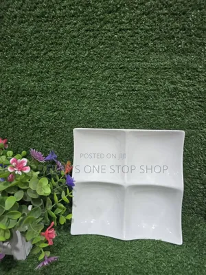 12pcs Portion Plates