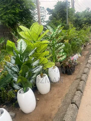 Artificial Flowers With Ceramics Pot
