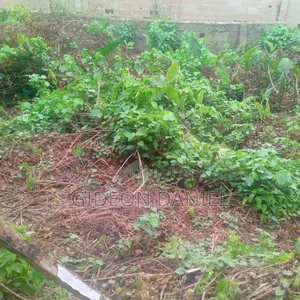 3 Acre of Farmland
