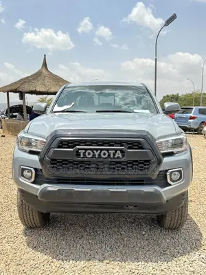 Toyota Tacoma 2019 Gray