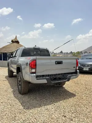 Toyota Tacoma 2019 Gray