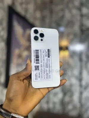 Apple iPhone 12 Pro Max 128 GB Silver