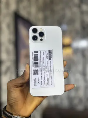 Apple iPhone 12 Pro Max 128 GB Silver