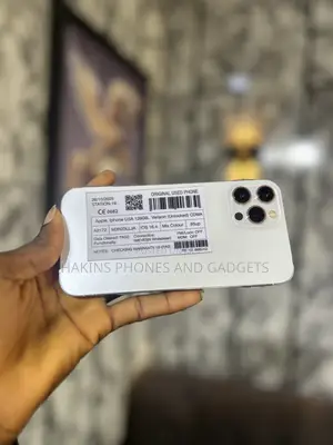 Apple iPhone 12 Pro Max 128 GB Silver