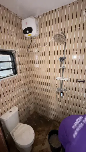 Toliet General Cleaning ,Home Care