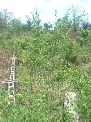 Land For Sale Urgently
