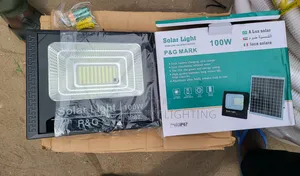 100w Floodlight