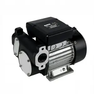 Electric Diesel Fuel Transfer Pump: Model: Dyb-80, Ac220v