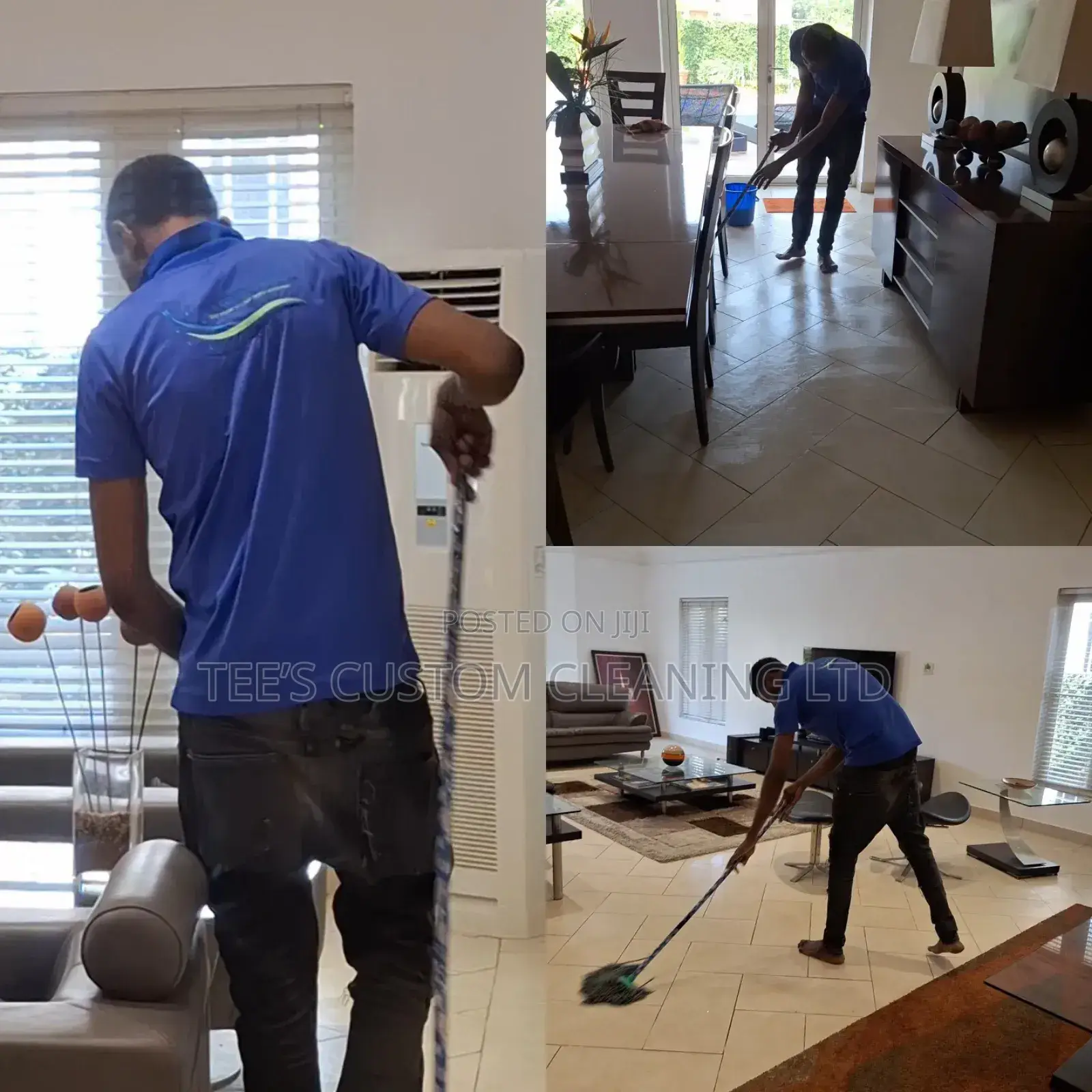 Professional Cleaning and Fumigation Services