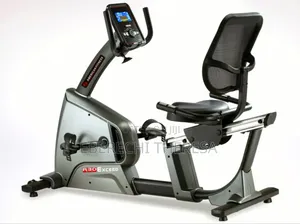 Semi Commercial Recumbent Bike