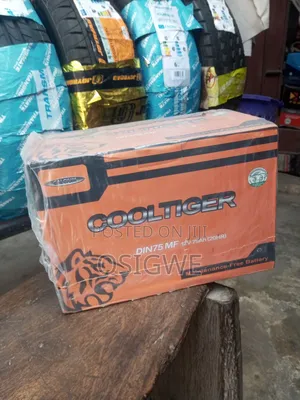 Cool Tiger 75 Amps Car Battery