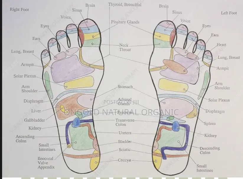 Herbs Revival Foot Patch
