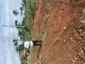 Farmlands for Sale