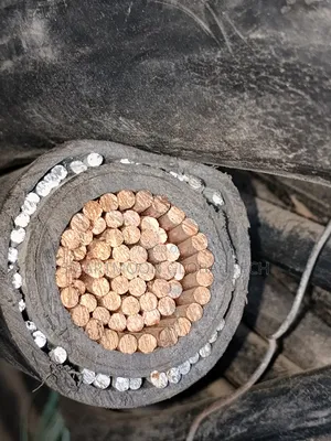500mm Single Armored Cable