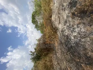 2 Plots of Land for Sale at Parakin Ile Ife Osun State