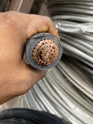 500mm X1core Single Cable