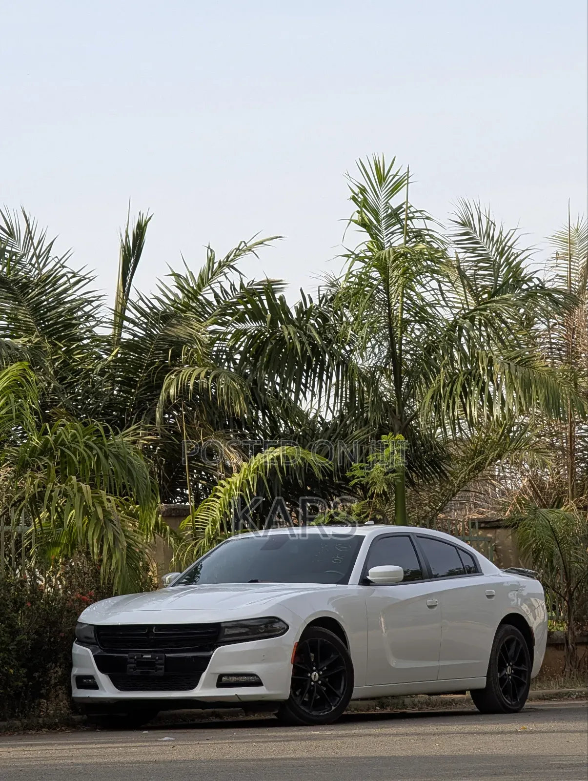 Dodge Charger 2021 White