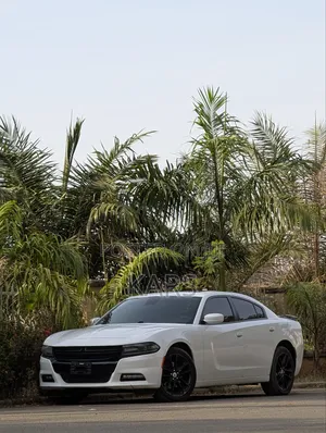 Dodge Charger 2021 White