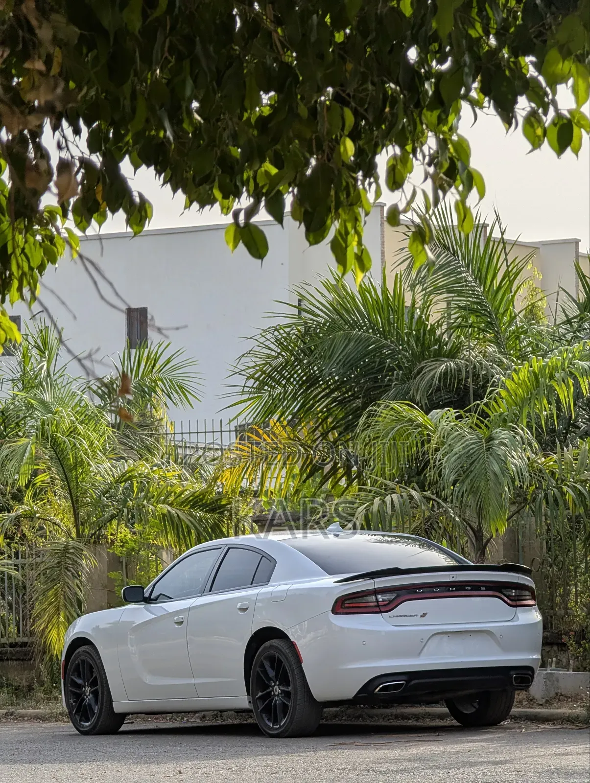 Dodge Charger 2021 White