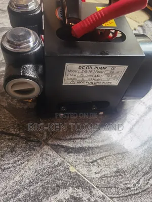 12v Dc Oil Pump
