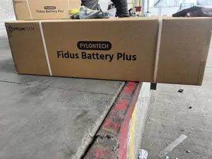 Pylontech Lithium Battery