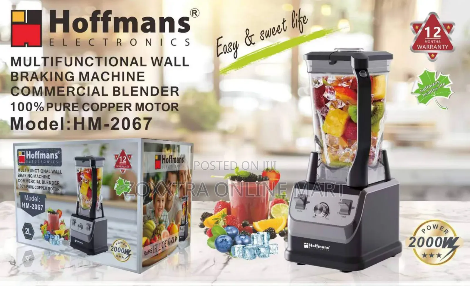 Hoffmans Hoffman Multifunctional Wall Braking Commercial Blender