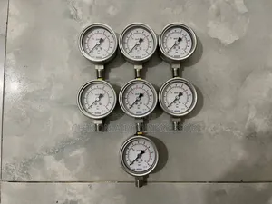 Pressure Gauge