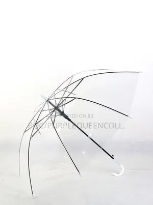 Transparent Umbrella