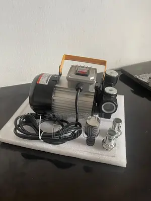 Electric Diesel Fuel Transfer Pump: Model Yb60, Ac220v