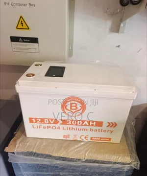 Quality 300ah 12.8v Lithium Battery