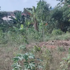 Joint Venture Land Available