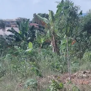 Full Plots of Land for Sale at Peace Estate