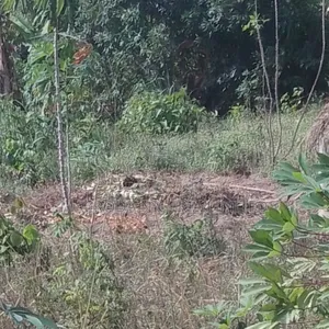Long Lease of Land at Admiralty Way
