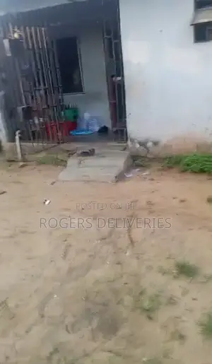 6 Bedroom Bungalow